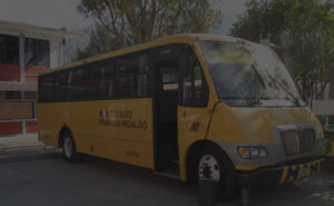 GO Transportes - Autobús escolar colegio